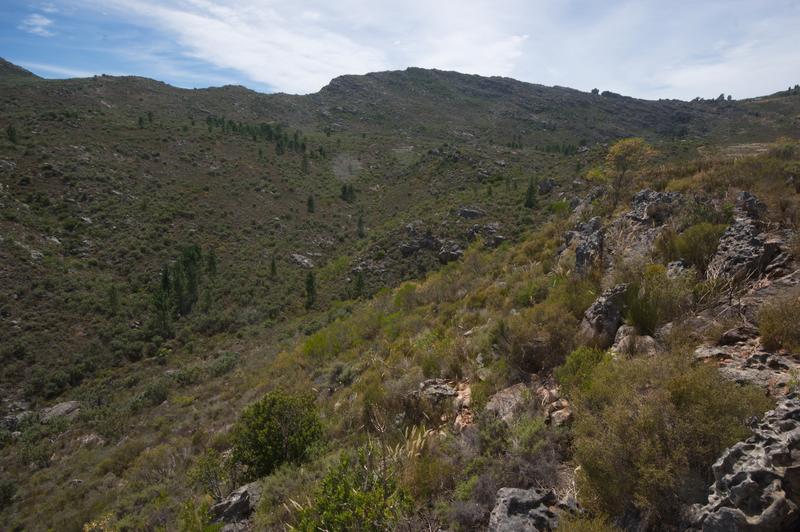 6 Bedroom Property for Sale in Piketberg Rural Western Cape